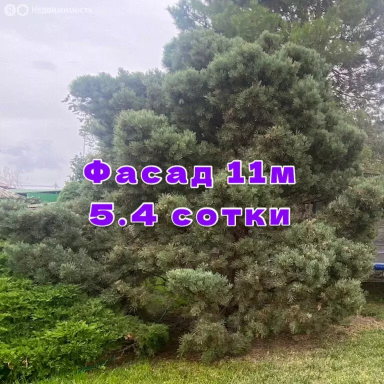 Участок в Батайск, улица Серова (5.4 м) - Фото 0