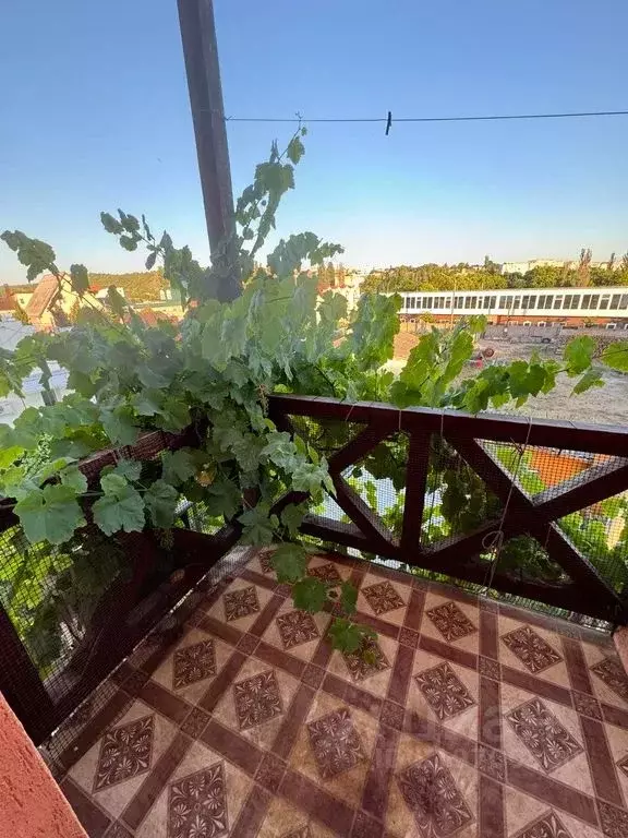 1-к кв. Севастополь ул. Федоровская, 20 (30.0 м) - Фото 0