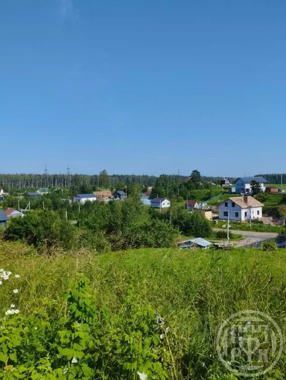 Участок в Ленинградская область, Сертолово Всеволожский район, ул. ... - Фото 1