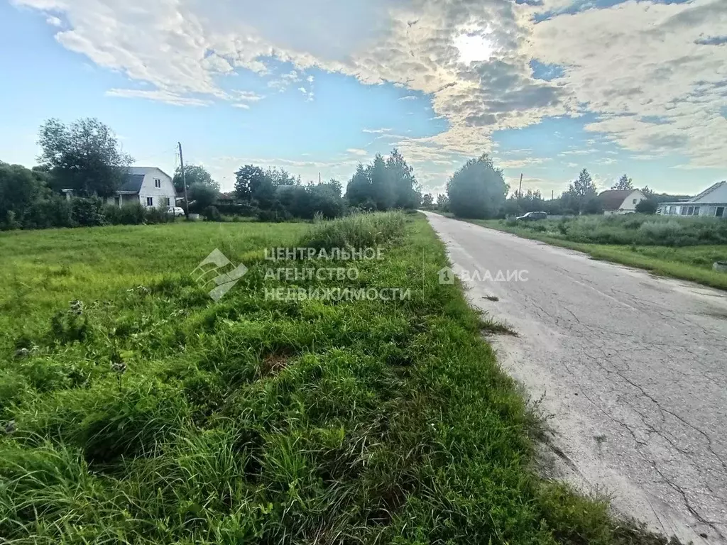 Участок в Рязанская область, Пронский район, Малинищинское с/пос, ... - Фото 1