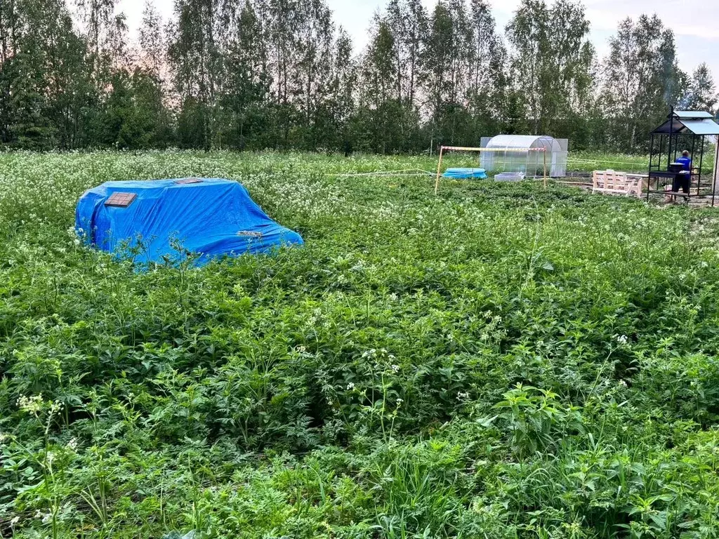 Участок в Московская область, Клин городской округ, д. Грешнево ул. ... - Фото 1