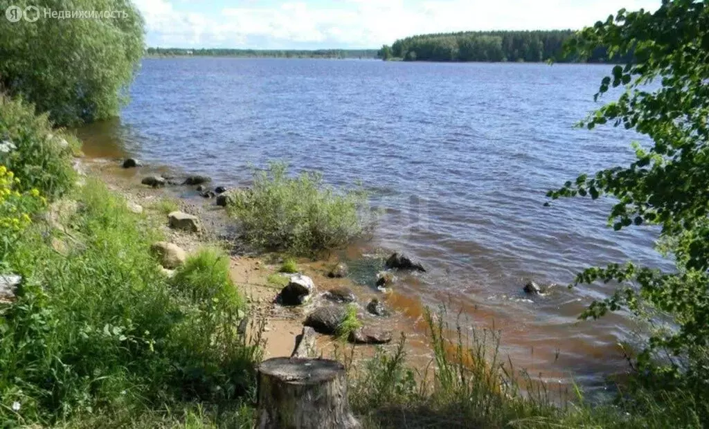 Участок в Ярославская область, Рыбинский муниципальный округ, деревня ... - Фото 1