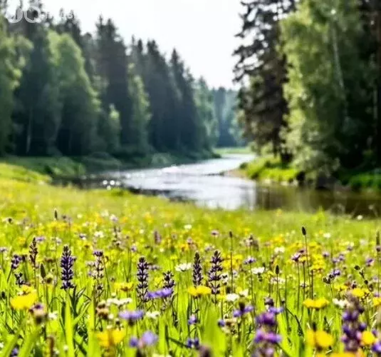 Участок в Тамбовский муниципальный округ, село Троицкая Дубрава ... - Фото 2