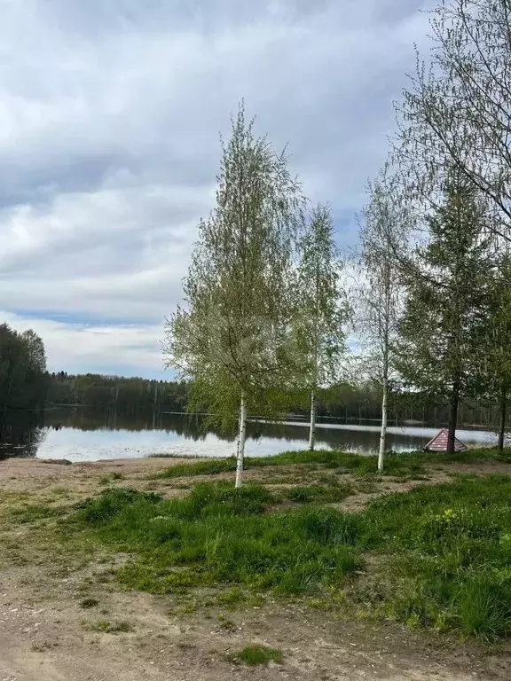 Участок в Вологодская область, Череповецкий район, Ягановское с/пос, ... - Фото 1