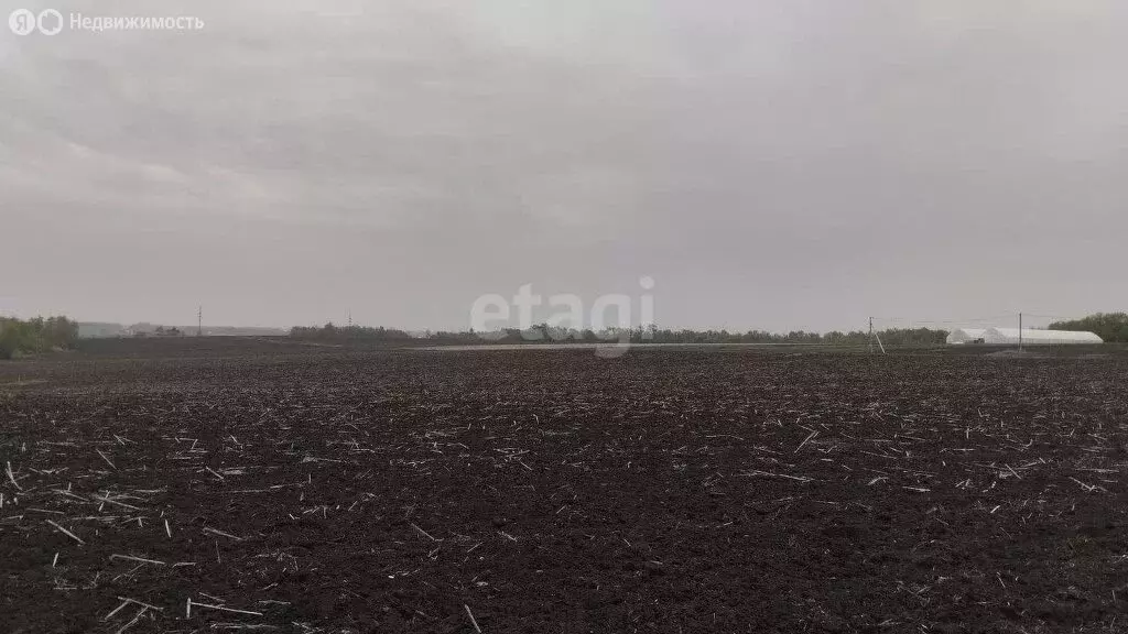 Участок в Белгородский район, Дубовское сельское поселение, посёлок ... - Фото 1