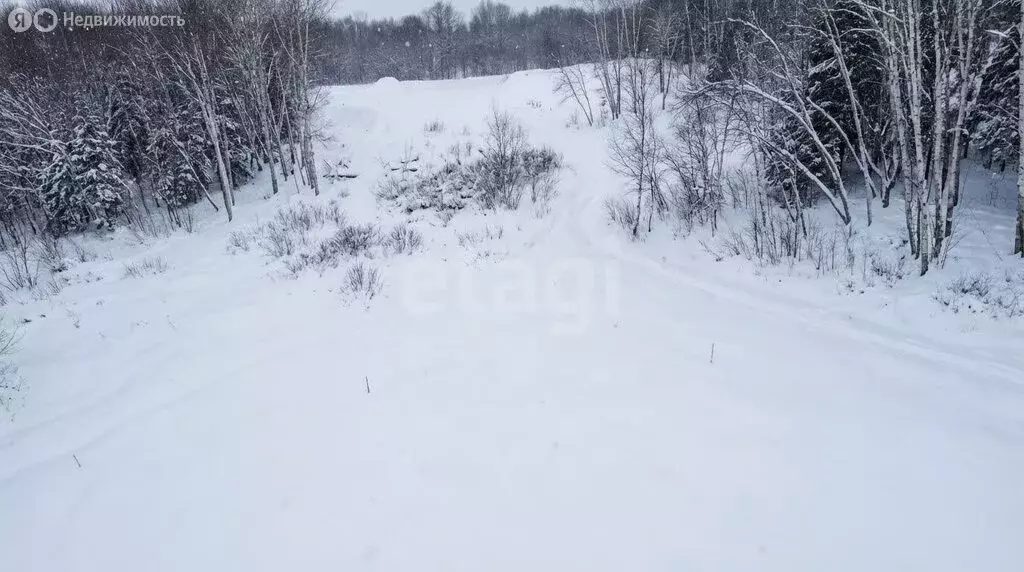 Участок в Камчатский край, Елизовский муниципальный округ, СНТ Рыбак ... - Фото 1