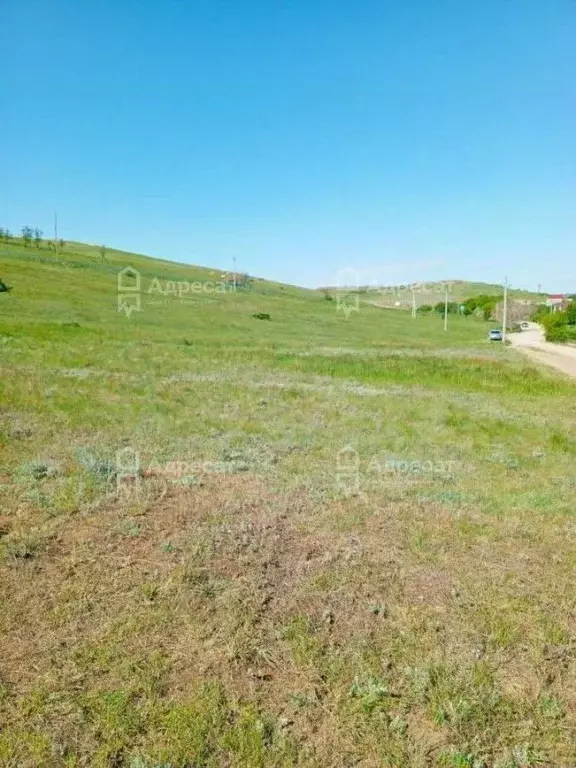 Участок в Волгоградская область, Городищенский район, ... - Фото 1