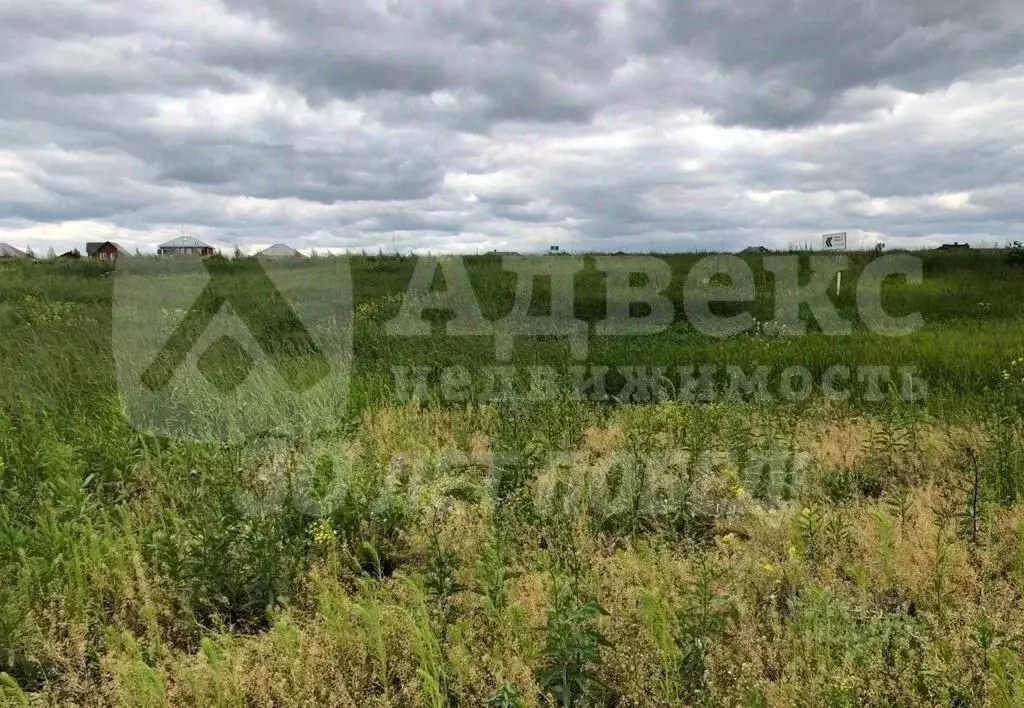 Участок в Тюменская область, Тюмень Царево садовое товарищество, ул. ... - Фото 1