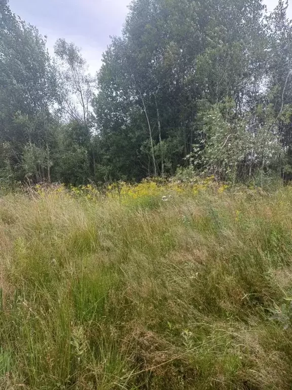 Участок в Московская область, Электросталь городской округ, д. Есино  ... - Фото 1