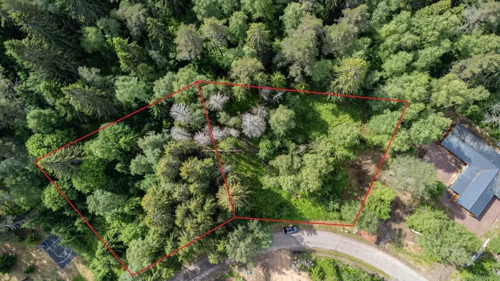 Участок в Ленинградская область, Приозерский район, Петровское с/пос, ... - Фото 2