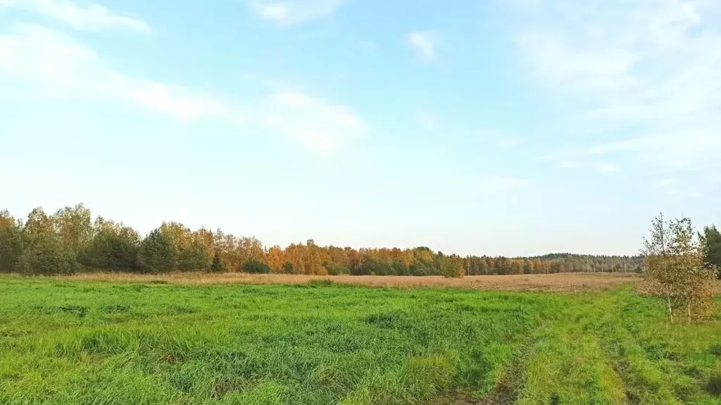 Участок в Карелия, Кондопожский район, Кончезерское с/пос, Шушки тер.  ... - Фото 1