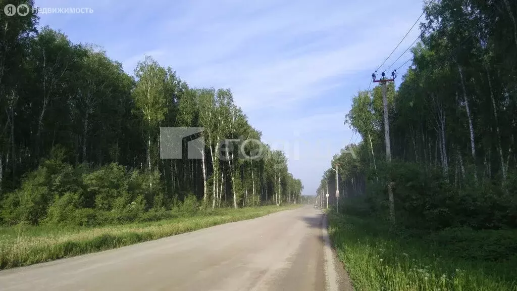 Участок в село Марусино, микрорайон Благое, 243 (7.85 м) - Фото 0