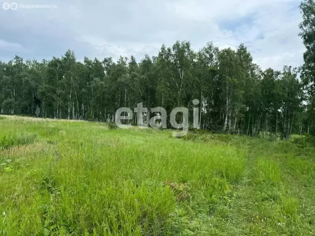 Участок в Емельяновский район, Солонцовский сельсовет, село Дрокино ... - Фото 1