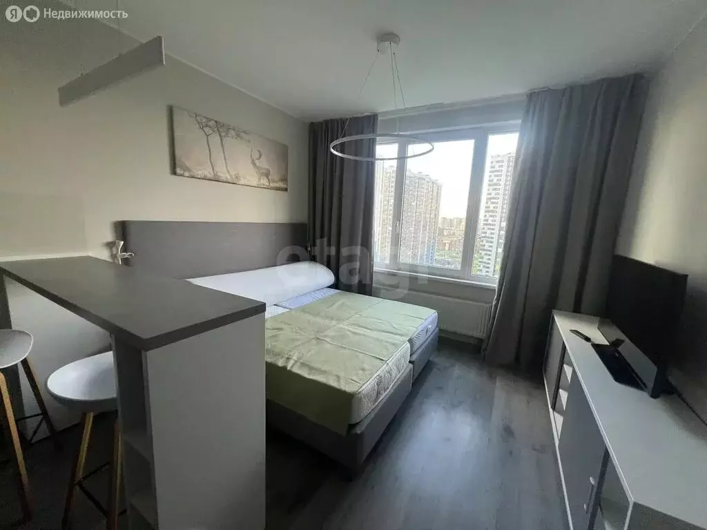 Квартира-студия: Санкт-Петербург, Витебский проспект, 101к1 (23.6 м) - Фото 1