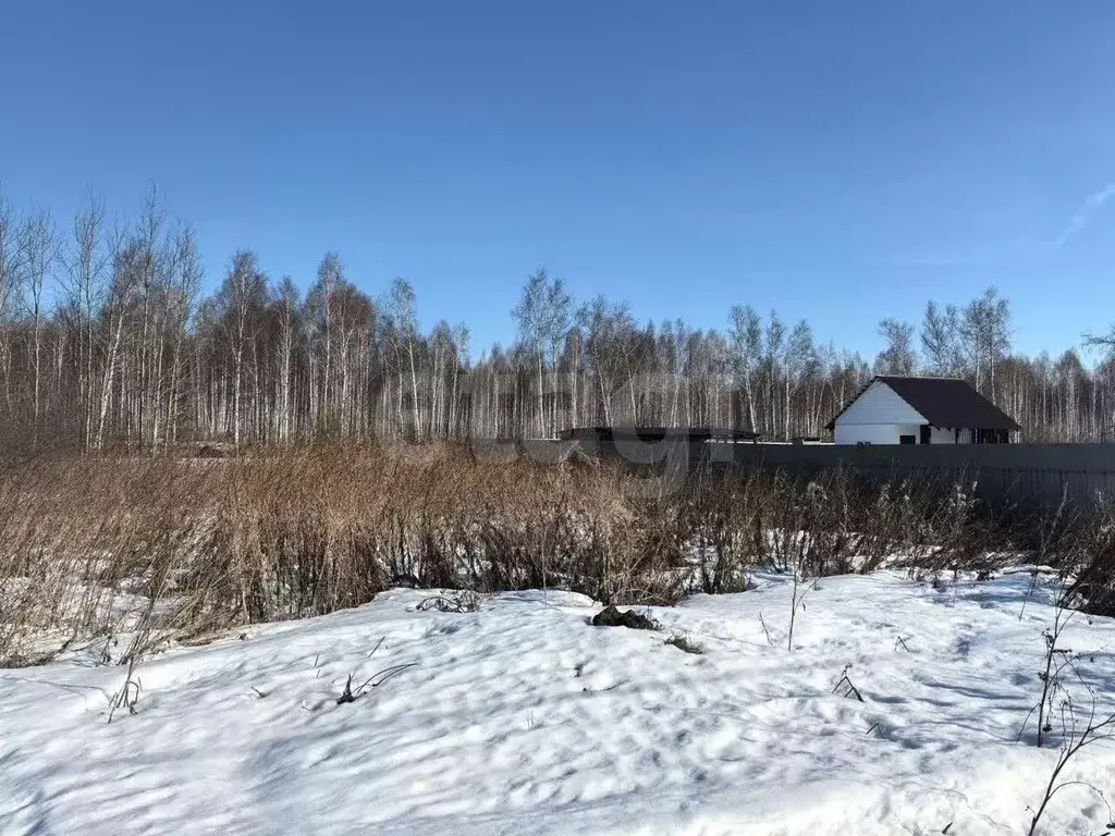 Участок в Тюменская область, Нижнетавдинский муниципальный округ, ... - Фото 1