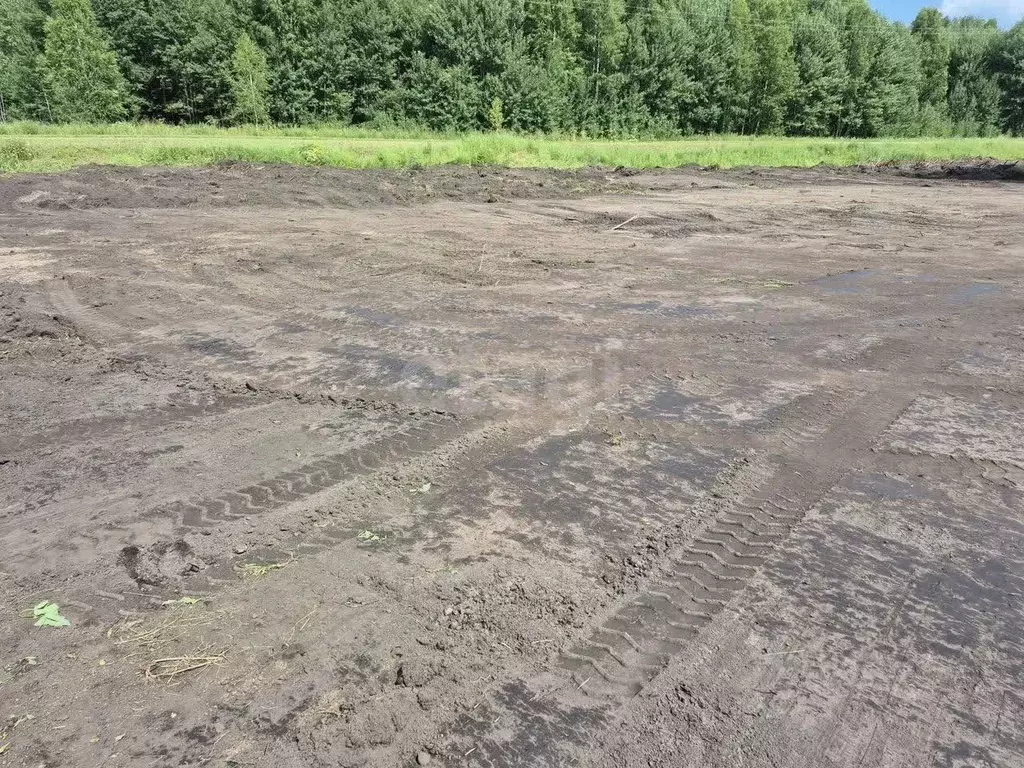 Участок в Новосибирская область, Мошковский район, с. Сокур  (10.0 ... - Фото 2