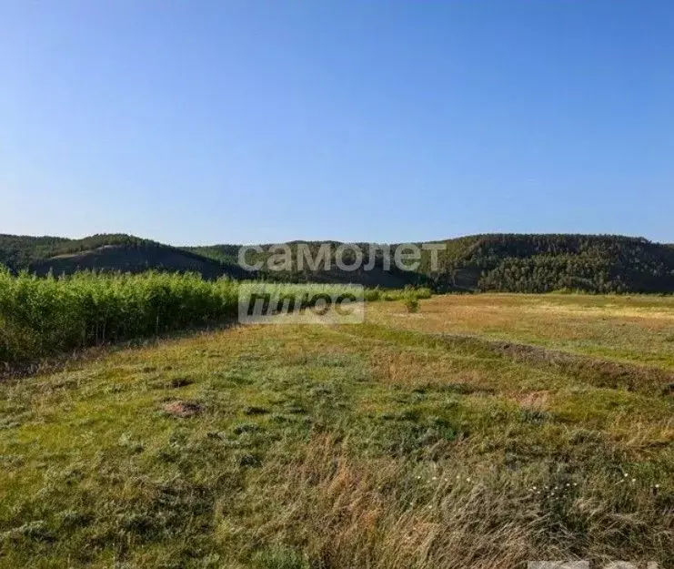 Участок в Башкортостан, Мелеузовский сельсовет, д. Тамьян ул. ... - Фото 0