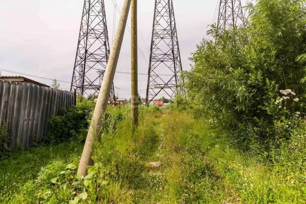 Участок в Ханты-Мансийский АО, Сургут Хвойный садовое товарищество, ... - Фото 1