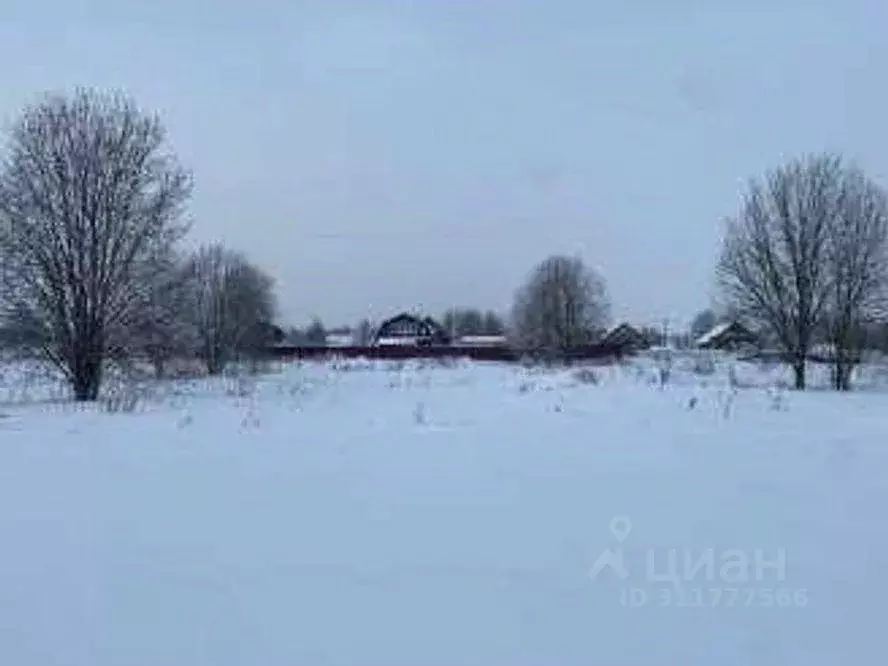 Участок в Ленинградская область, Волосовский район, Калитинское с/пос, ... - Фото 1