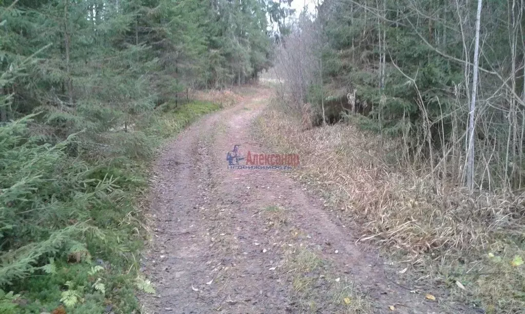 Участок в Ленинградская область, Волховский район, д. Бережки  (776.0 ... - Фото 1