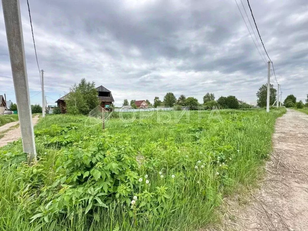 Участок в Тюменская область, Тюмень Садовое товарищество Липовый ... - Фото 2