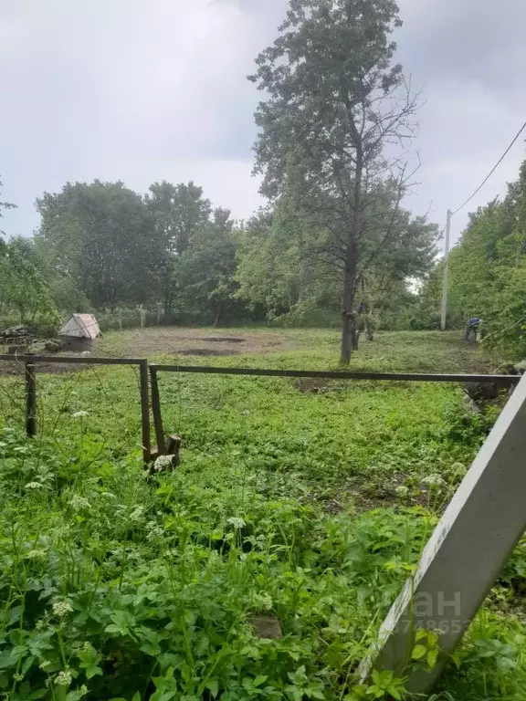 Участок в Калининградская область, Зеленоградский муниципальный округ, ... - Фото 0