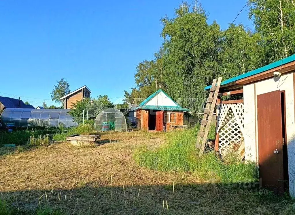 Дом в Тюменская область, Тюменский муниципальный округ, Березка-4 ... - Фото 2