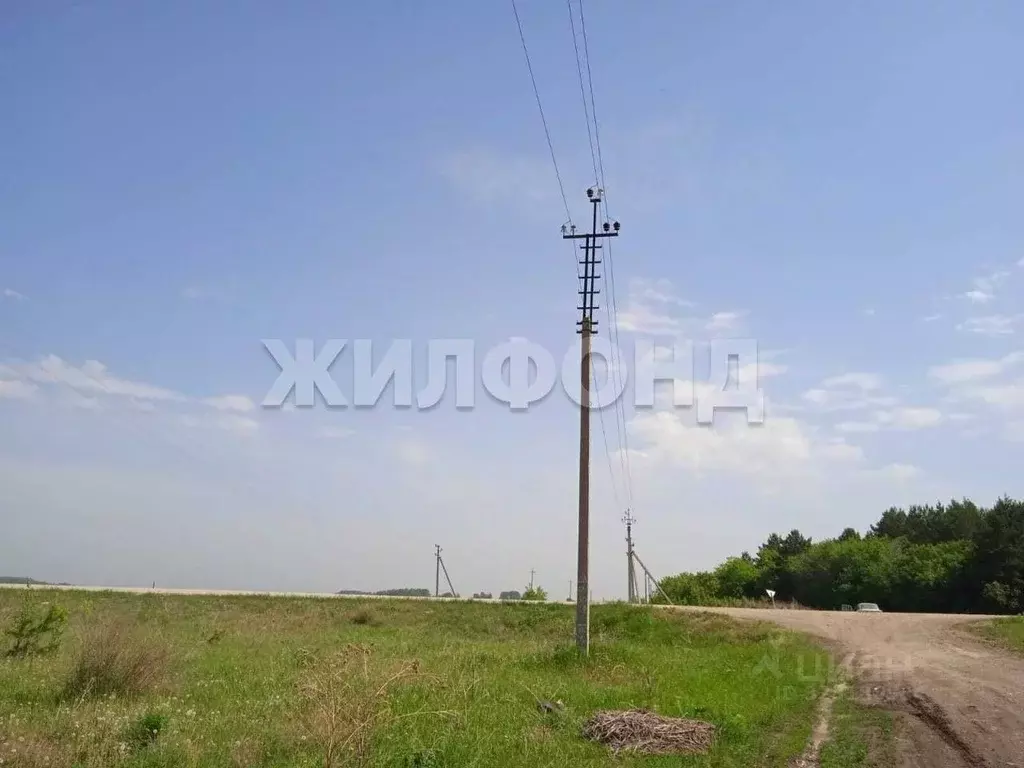 Участок в Новосибирская область, Колыванский район, Большая Семья СНТ  ... - Фото 1