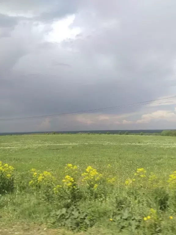 Участок в Ленинградская область, Ломоносовский район, Оржицкое с/пос, ... - Фото 1