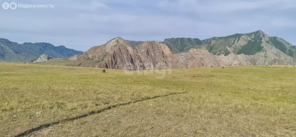 Участок в Онгудайский район, село Онгудай (100 м) - Фото 0