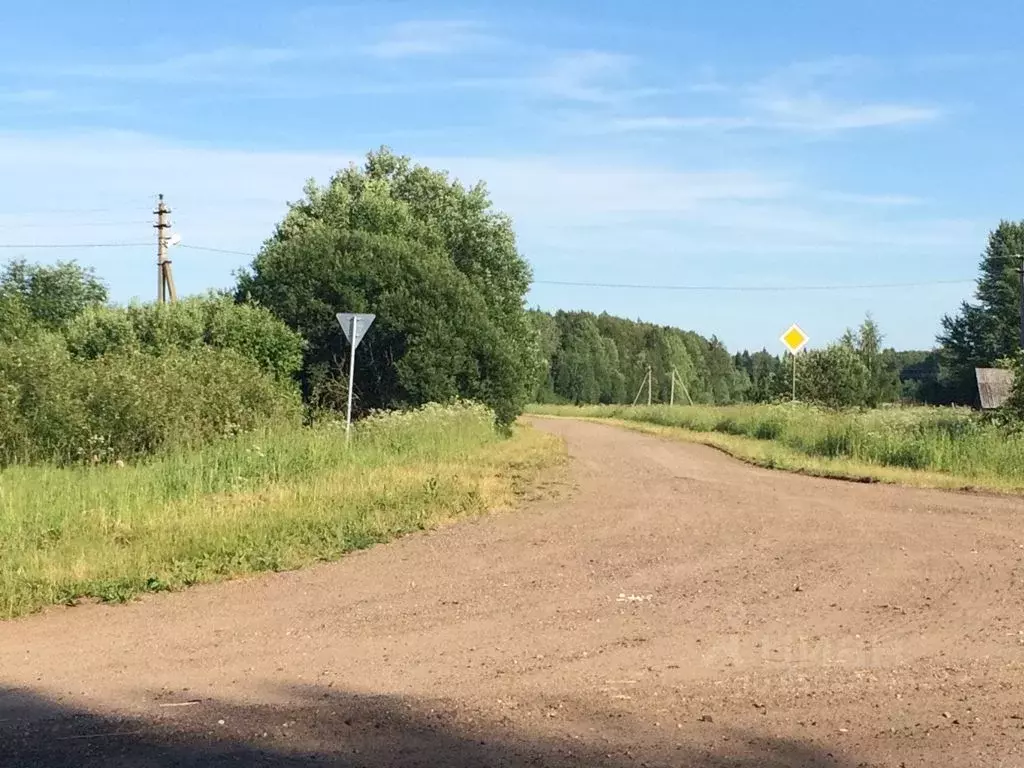 Участок в Ярославская область, Большесельский район, Благовещенское ... - Фото 1