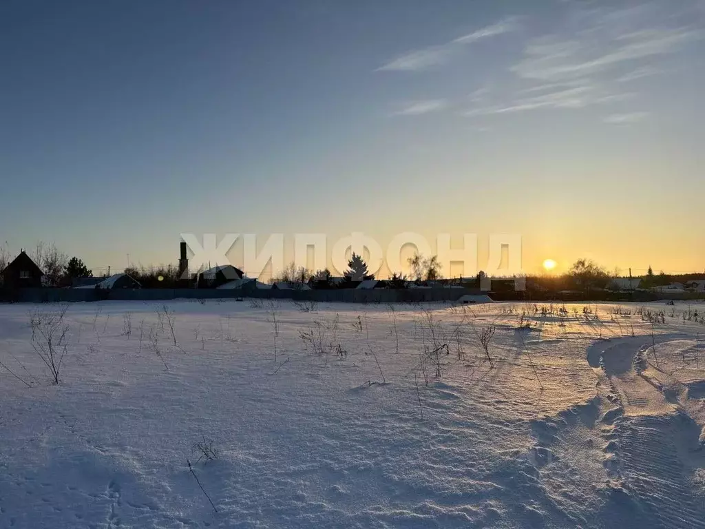 Участок в Новосибирская область, Новосибирский район, Боровской ... - Фото 2