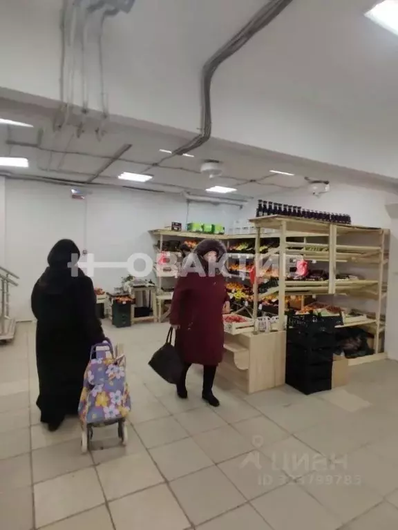 Помещение свободного назначения в Новосибирская область, Новосибирск ... - Фото 1