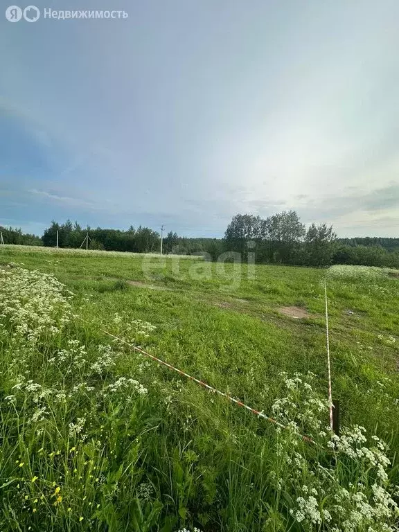 Участок в сельское поселение Никольское, деревня Большое Митенино ... - Фото 0