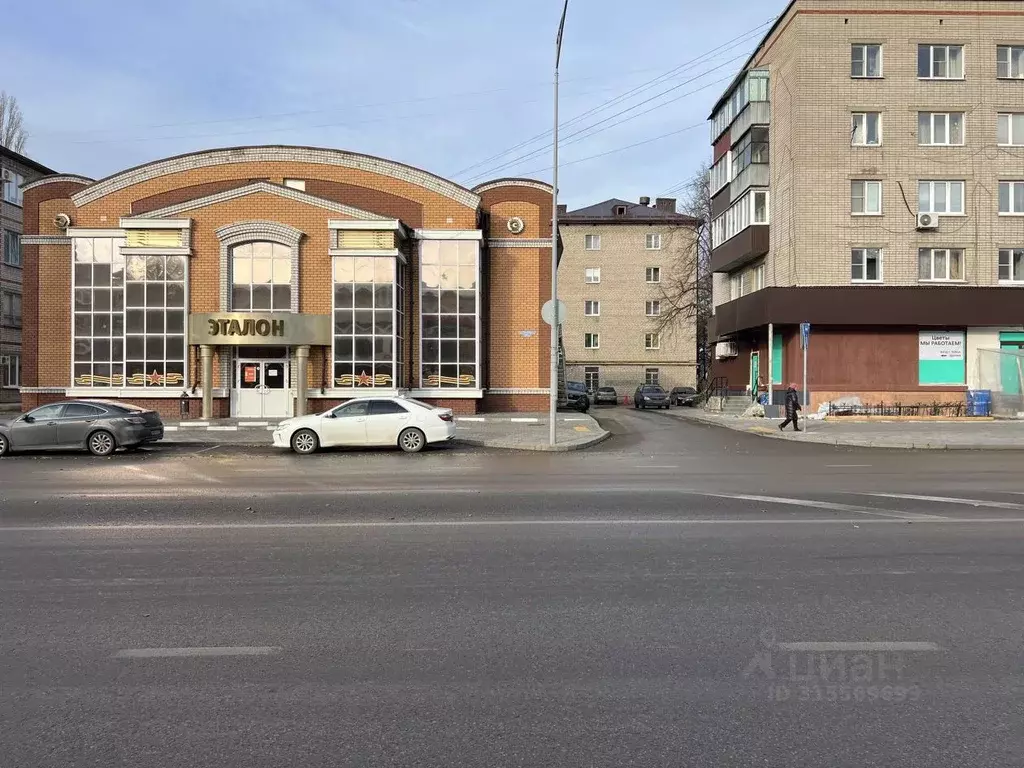 Торговая площадь в Липецкая область, Липецк ул. Плеханова, 35 (55 м) - Фото 1