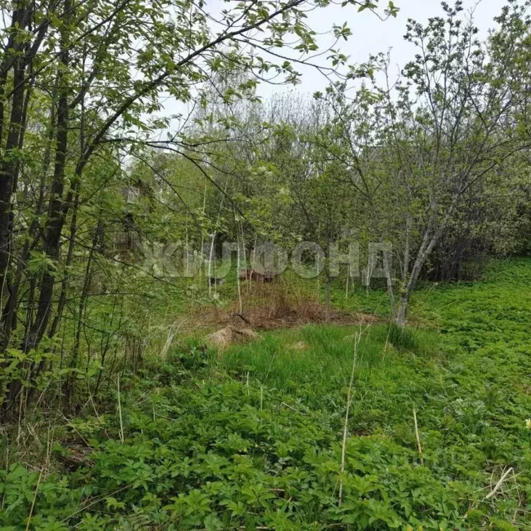 Участок в Томская область, Томск Геолог-1 садовое товарищество,  (6.9 ... - Фото 1