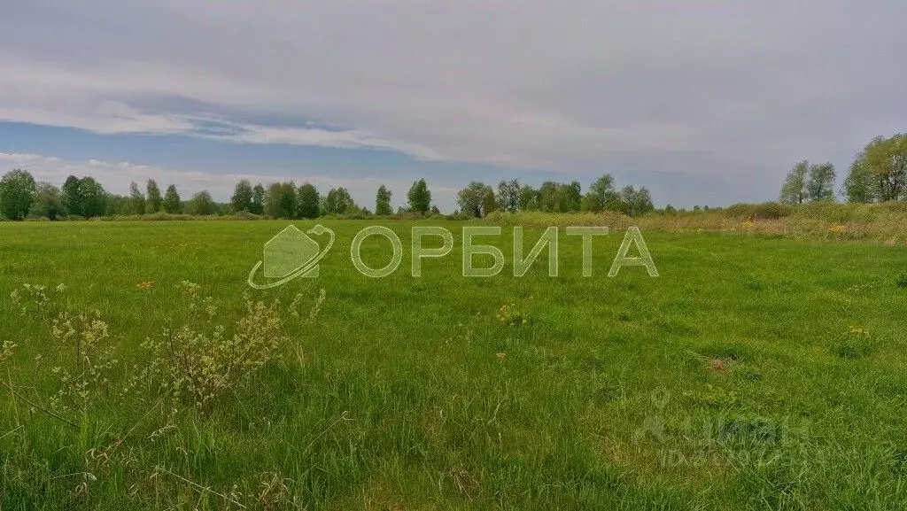 Участок в Тюменская область, Тюменский район, д. Есаулова ул. Гайдара, ... - Фото 1