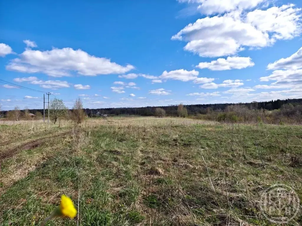 Участок в Ленинградская область, Ломоносовский район, Оржицкое с/пос, ... - Фото 2