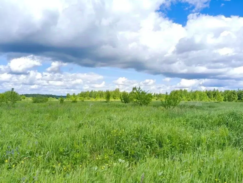 Участок в Московская область, Талдомский городской округ, д. Ермолино  ... - Фото 1