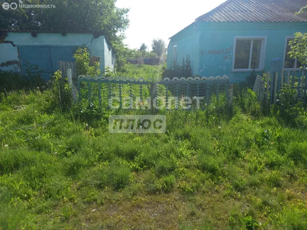 Дом в Рубцовский район, Саратовский сельсовет, село Саратовка (62 м) - Фото 0