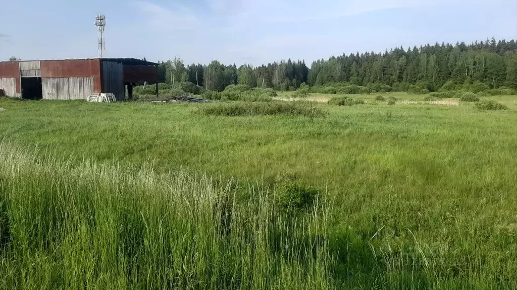 Участок в Московская область, Наро-Фоминский городской округ, д. ... - Фото 1