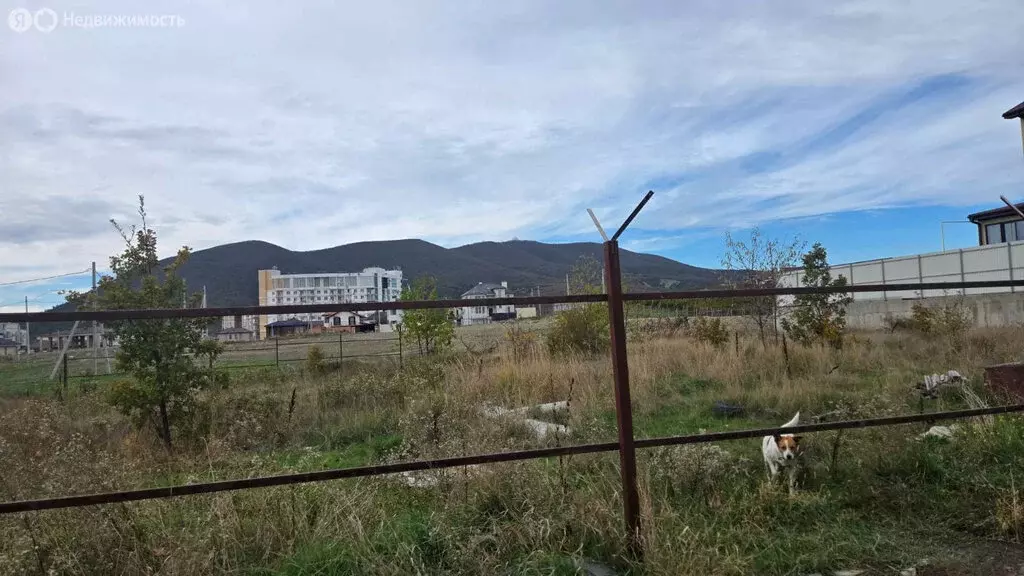 Участок в Мысхако, улица Петра Плотянского (6 м) - Фото 1