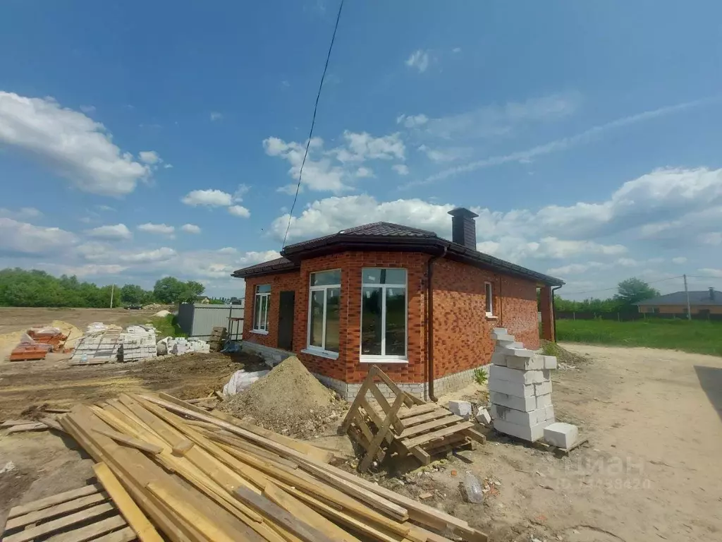 Дом в Воронежская область, Новоусманский район, с. Бабяково  (85 м) - Фото 1