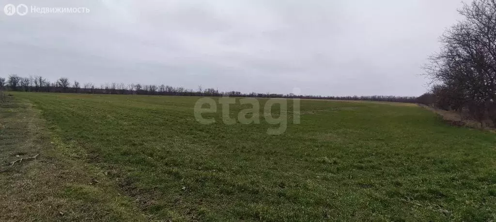 Участок в Симферопольский район, село Урожайное (906.37 м) - Фото 2