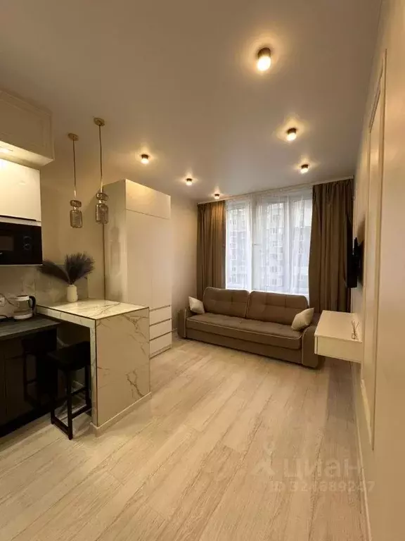 Студия Московская область, Красногорск Центральный проезд, 3 (24.0 м) - Фото 1