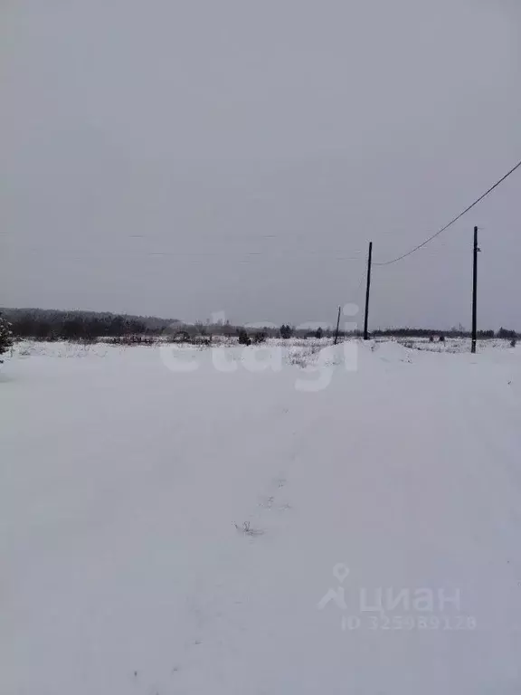 Участок в Свердловская область, Талицкий муниципальный округ, д. ... - Фото 1