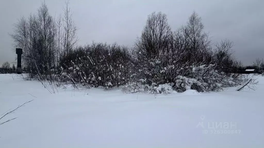 Участок в Московская область, Истра муниципальный округ, пос. Хуторки ... - Фото 2