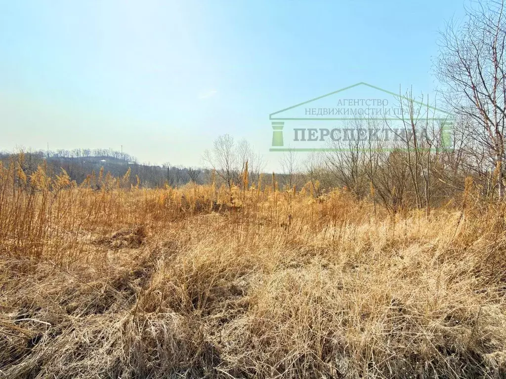 Участок в Приморский край, Артем Глобус СНТ, 44 (10.0 сот.) - Фото 1