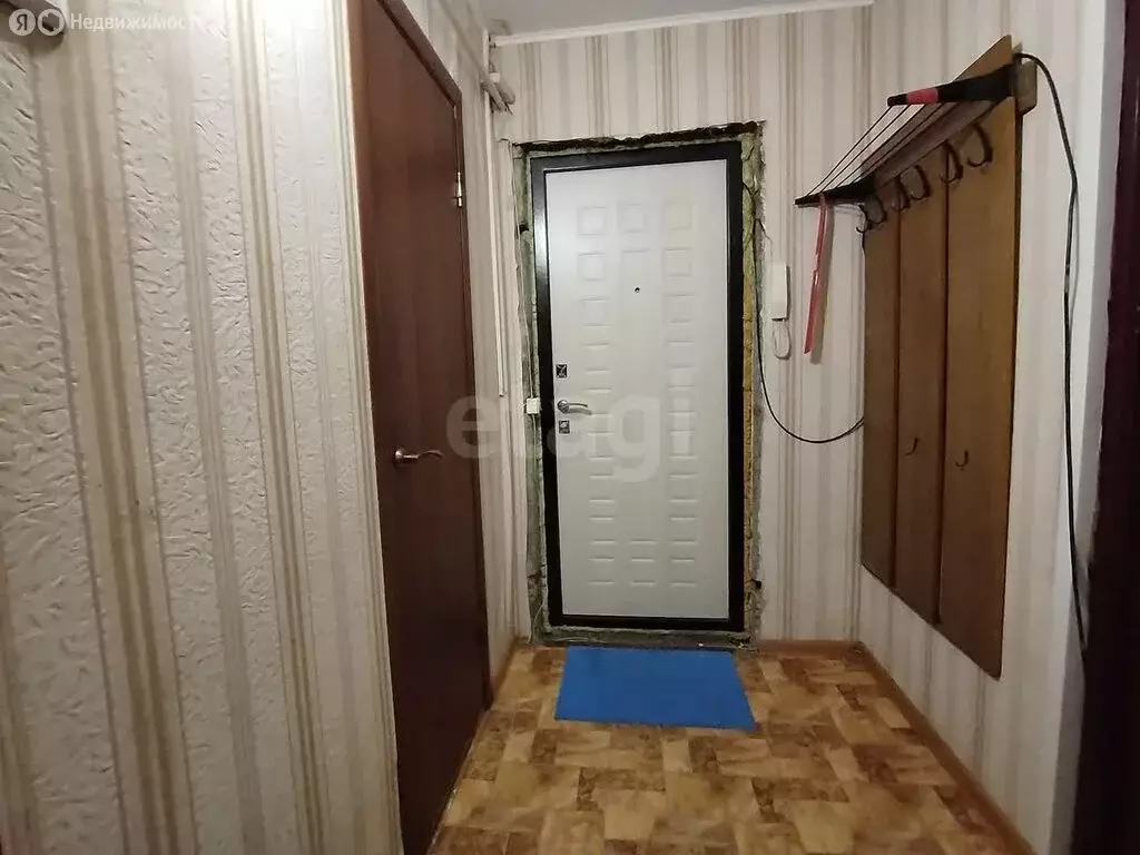 1-комнатная квартира: Раменское, улица Левашова, 27 (32.9 м) - Фото 1