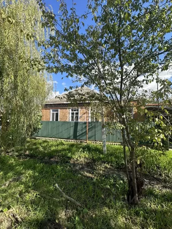 Дом в Краснодарский край, Апшеронск Николенская ул., 53 (90 м) - Фото 2